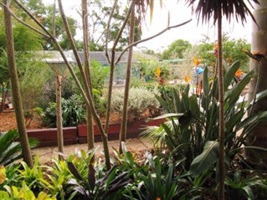 Bidwill Community Garden