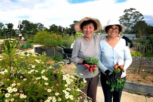 Showground Community Garden
